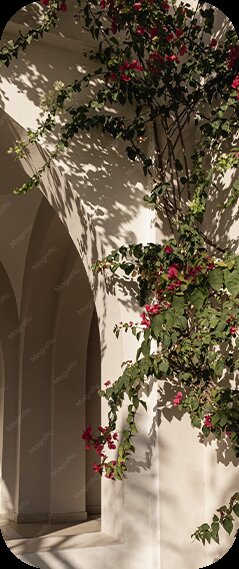 Patio andaluz con buganvilla